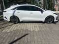 Kia ProCeed / pro_cee'd GT-Line Weiß - thumbnail 3
