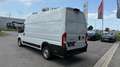 Fiat Ducato Ducato 35+ L4H3 BlueHDi 140 S&S Weiß - thumbnail 3