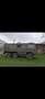 Puch Pinzgauer - thumbnail 2