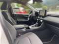 Toyota RAV 4 RAV4 Hybrid 4x4 Active Drive + DP*WP Weiß - thumbnail 19