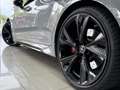 Audi RS6 Avant TFSI quattro Tiptronic 441kW Gris - thumbnail 13