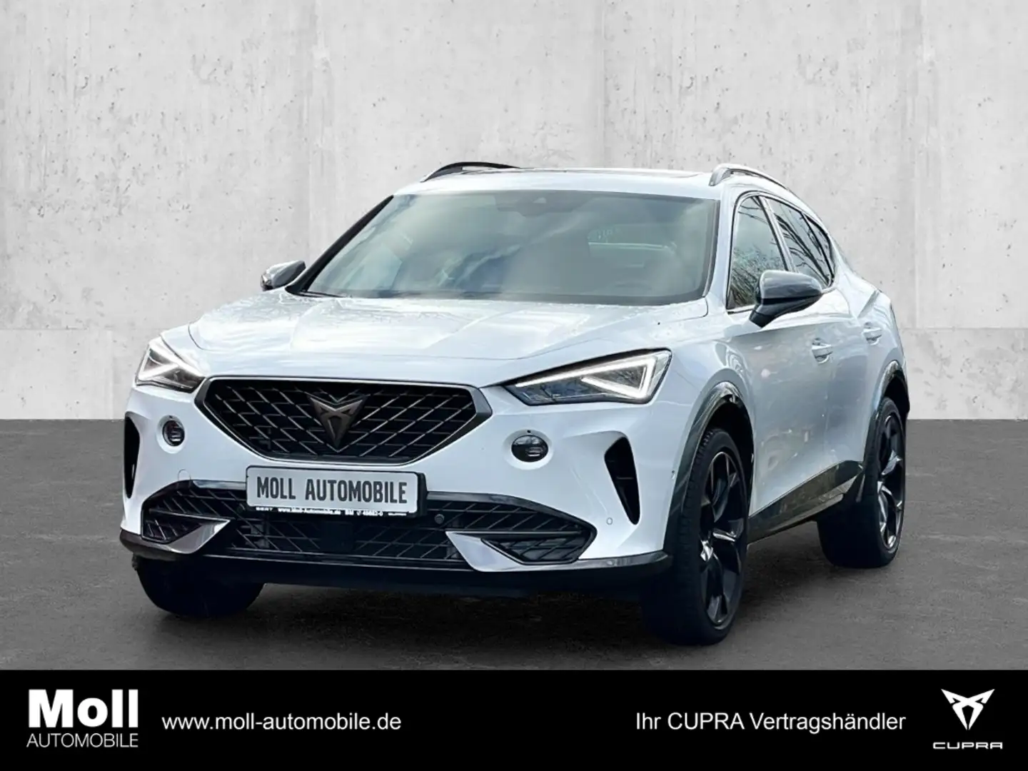 CUPRA Formentor VZ 2.0 TSI 245PS Panoramadach-Beats-Matrix-LED EU6 Weiß - 1