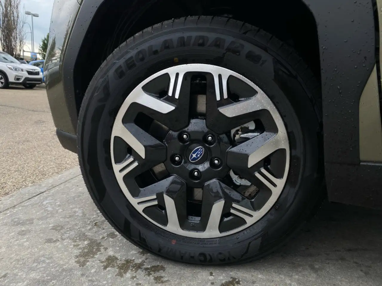Subaru Forester снимка Subaru Forester