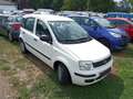 Fiat Panda 1.2 8V MyLive Weiß - thumbnail 2