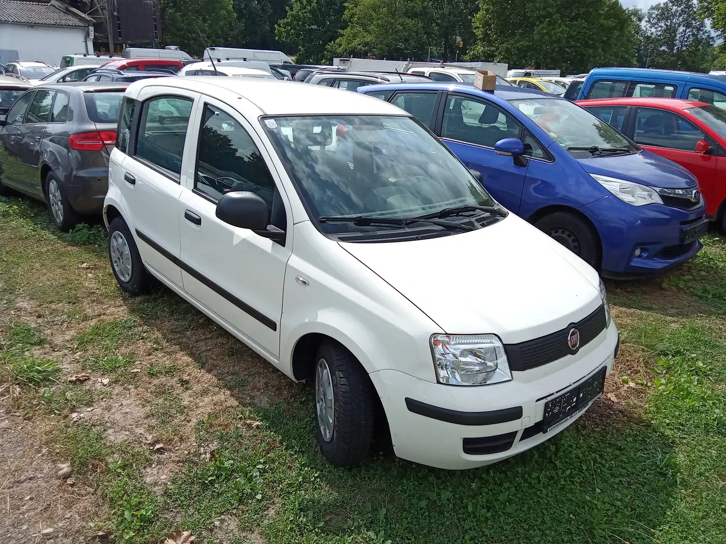Fiat Panda 1.2 8V MyLive Weiß - 2