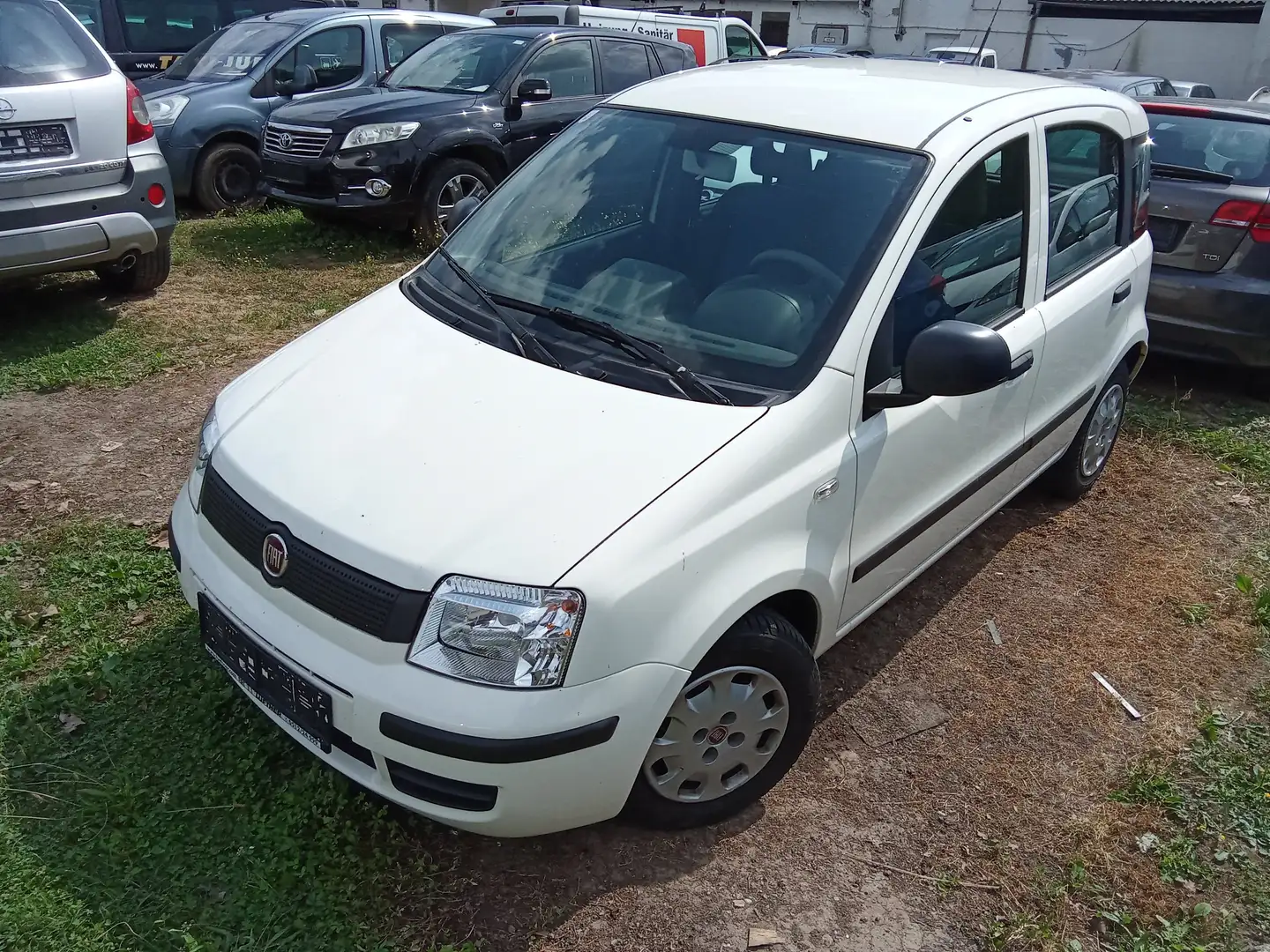 Fiat Panda 1.2 8V MyLive Weiß - 1