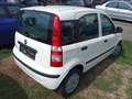 Fiat Panda 1.2 8V MyLive Weiß - thumbnail 3