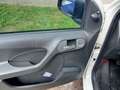 Fiat Panda 1.2 8V MyLive Weiß - thumbnail 10