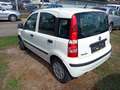 Fiat Panda 1.2 8V MyLive Weiß - thumbnail 4