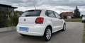 Volkswagen Polo Style 1,2 mit Panoramadach Limousine - thumbnail 6