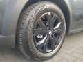 Dacia Jogger Extreme,Campingoption elek.Dachzelt/Küche Gris - thumbnail 8