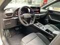 CUPRA Leon 1.5 eTSI DSG +NAVI+PDC+ACC+DCC+KESSY+19Zoll Gris - thumbnail 10