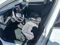 Volkswagen Golf VIII 1.5 eTSI Style Busin.Prem+Pano+LEDmatr Weiß - thumbnail 10