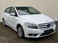 Mercedes-Benz B 180 CDI | 1-Hand | Kamera | AHK | Weiß - thumbnail 4