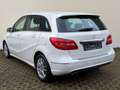 Mercedes-Benz B 180 CDI | 1-Hand | Kamera | AHK | Weiß - thumbnail 5
