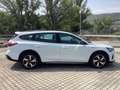 Ford Focus 4ª serie 1.0 EcoBoost Hybrid 125 CV 5p. Active Blanco - thumbnail 5