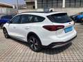 Ford Focus 4ª serie 1.0 EcoBoost Hybrid 125 CV 5p. Active Blanco - thumbnail 8