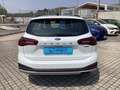 Ford Focus 4ª serie 1.0 EcoBoost Hybrid 125 CV 5p. Active Blanco - thumbnail 2