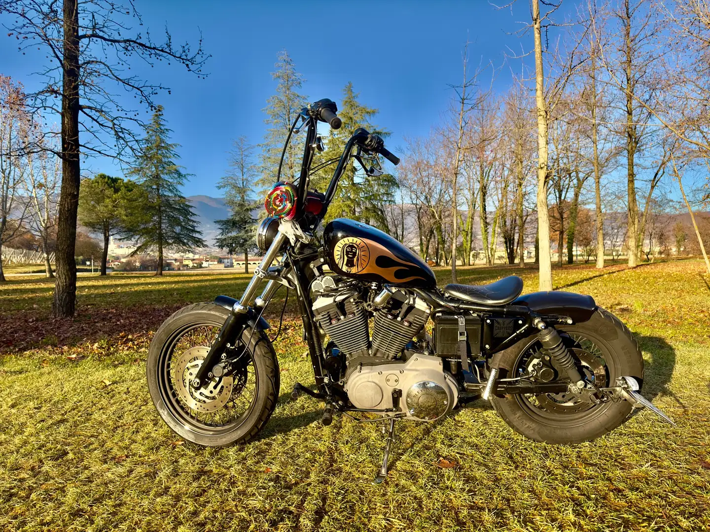 Harley-Davidson XL 1200 Sport (XL1200S) Černá - 1