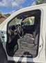 Nissan Pathfinder 3.0 V6 Diesel Bianco - thumbnail 8