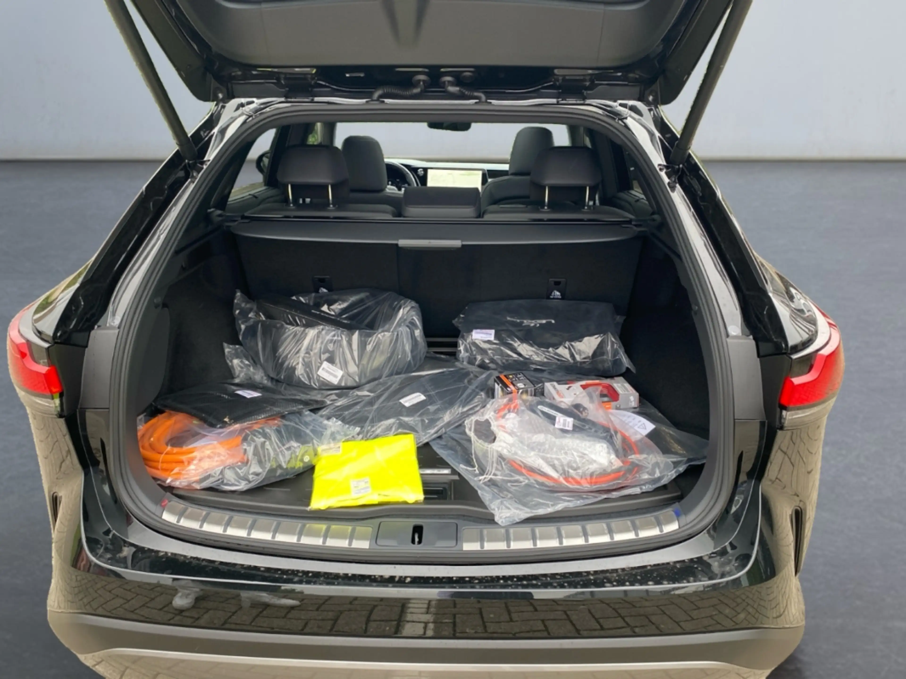 Lexus RX 450h + 2,5 l E-CVT, 4x4 Plug-in 5-Türer LUXURY — photo 15