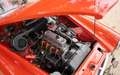 Austin-Healey Sprite MK2 Rouge - thumbnail 33