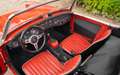 Austin-Healey Sprite MK2 Rouge - thumbnail 18