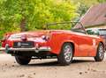 Austin-Healey Sprite MK2 Rouge - thumbnail 6