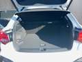 Audi Q2 30 TFSI admired Weiß - thumbnail 16