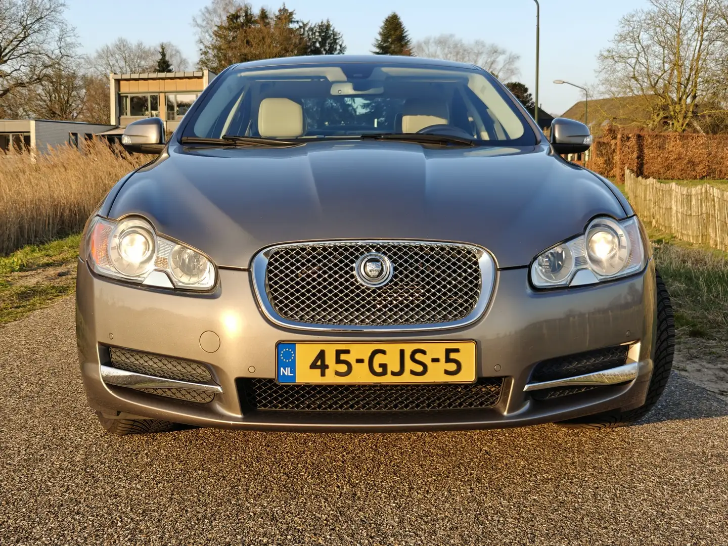 Jaguar XF gereserveerd 3.0 V6 Premium Lux. NL auto. Beige - 2
