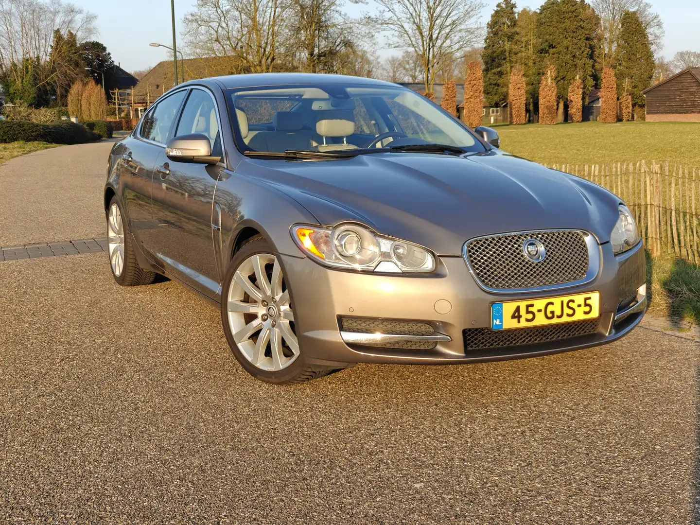 Jaguar XF gereserveerd 3.0 V6 Premium Lux. NL auto. Beige - 1