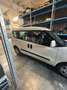 Fiat Doblo Doblo 1.6 mjt 16v Dynamic Bianco - thumbnail 5