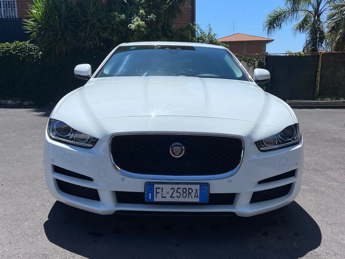 Jaguar XE Portfolio Bianco - 2
