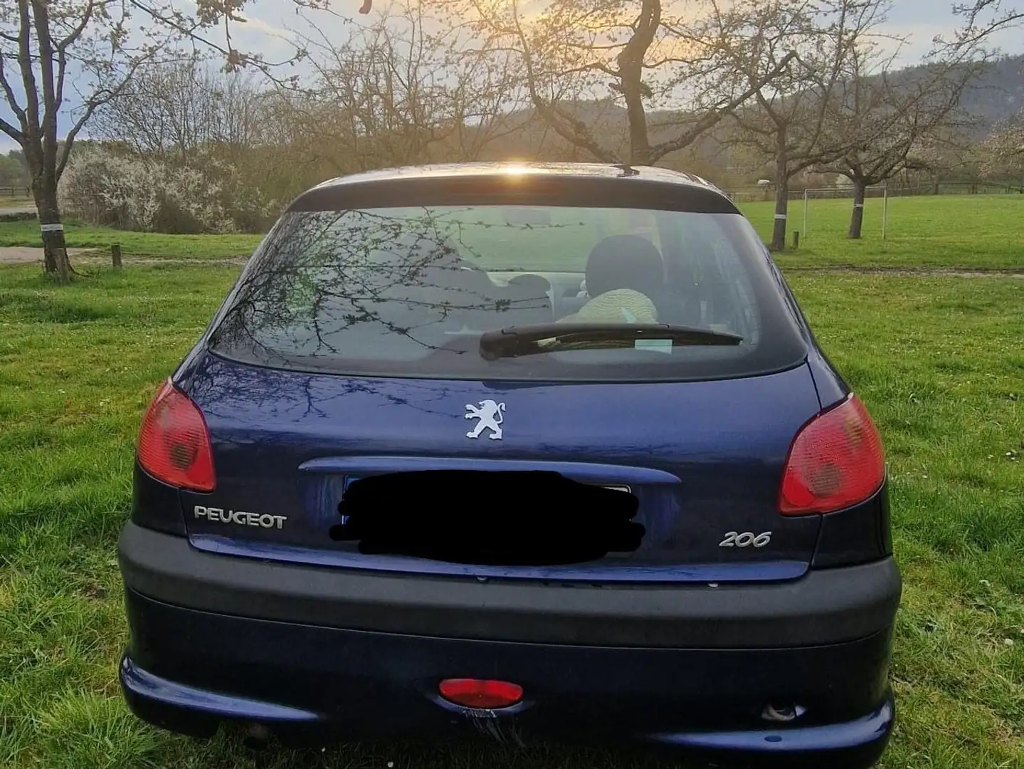 Peugeot 206 Petit Filou (Bastlerauto) Blau - 2
