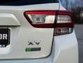 Subaru XV 1.6i EXECUTIVE PLUS AUTOMÁTICO con INSTALACIÓN G Weiß - thumbnail 15
