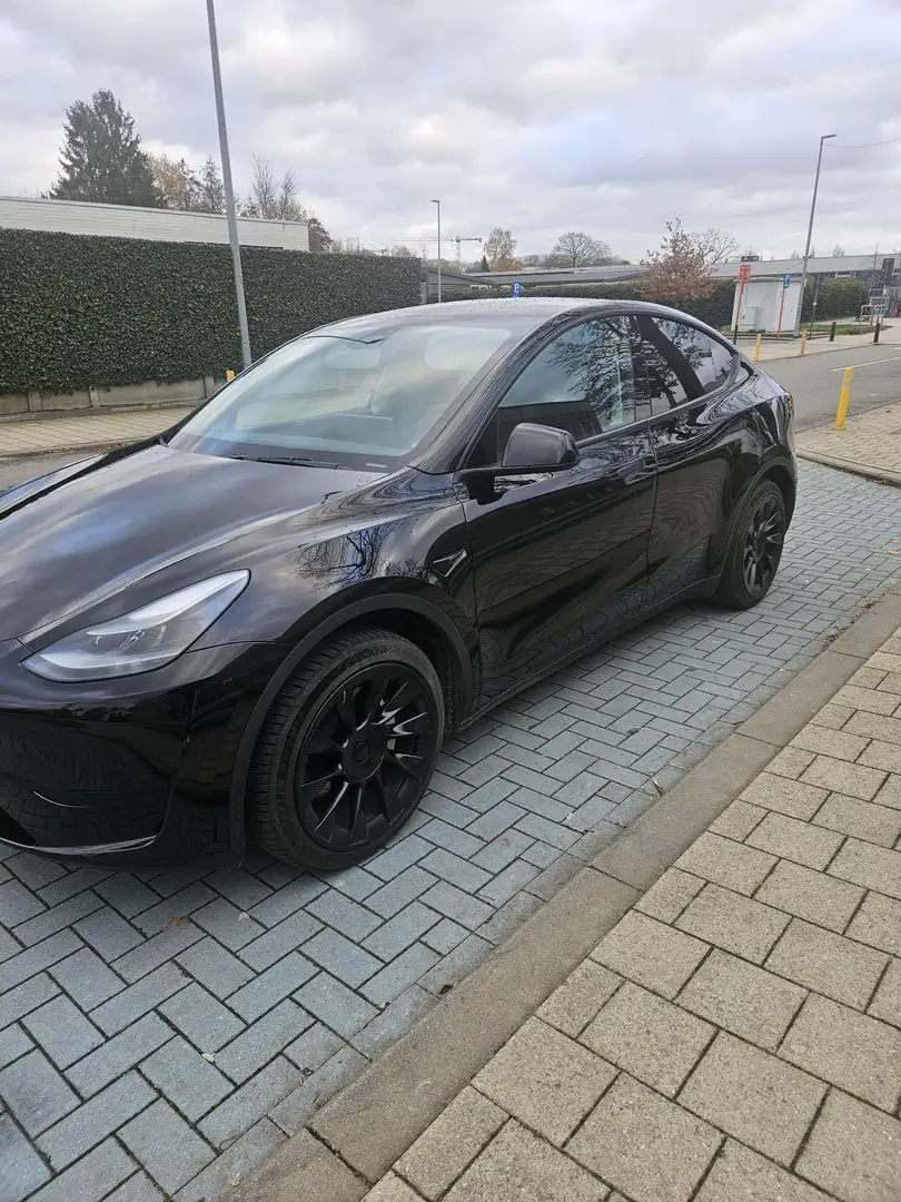 Tesla Model Y Long Range RWD - 2024 - 1