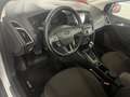 Ford Focus 1.5 TDCI Titanium Euro 6 Bianco - thumbnail 6