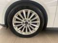 Ford Focus 1.5 TDCI Titanium Euro 6 Bianco - thumbnail 13