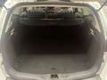 Ford Focus 1.5 TDCI Titanium Euro 6 Bianco - thumbnail 11