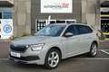 Skoda Kamiq 1.0 TSI 110 ch Young Edition BV6 Grijs - thumbnail 1