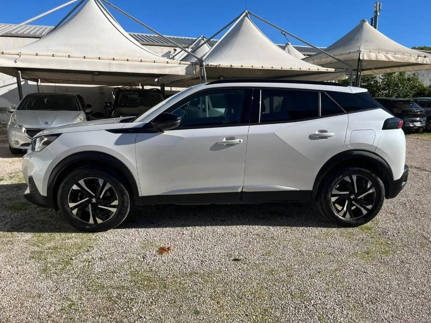 Peugeot 2008 E- GT Pack 100kW Blanc - 2