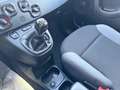 Fiat Panda 1.2 Pop Weiß - thumbnail 15