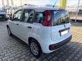 Fiat Panda 1.2 Pop Weiß - thumbnail 4