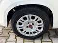 Fiat Panda 1.2 Pop Weiß - thumbnail 16
