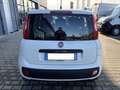 Fiat Panda 1.2 Pop Weiß - thumbnail 5