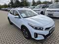 Kia XCeed 1.6 T-GDI Exclusive Alu 16" Automatik Navi Weiß - thumbnail 3
