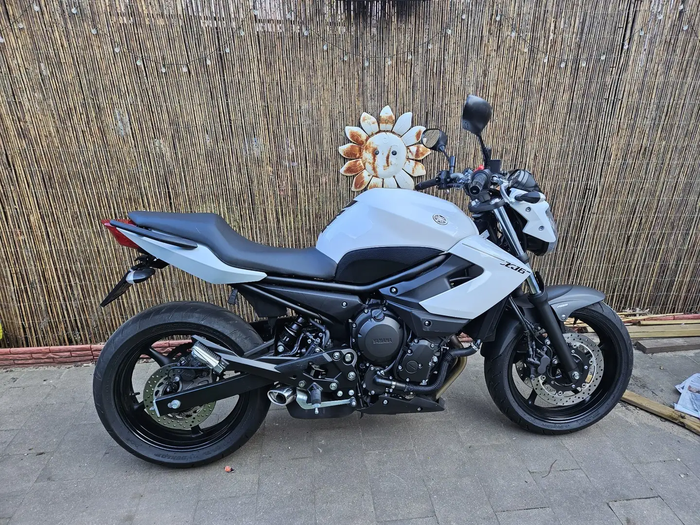 Yamaha XJ 6 Beyaz - 2