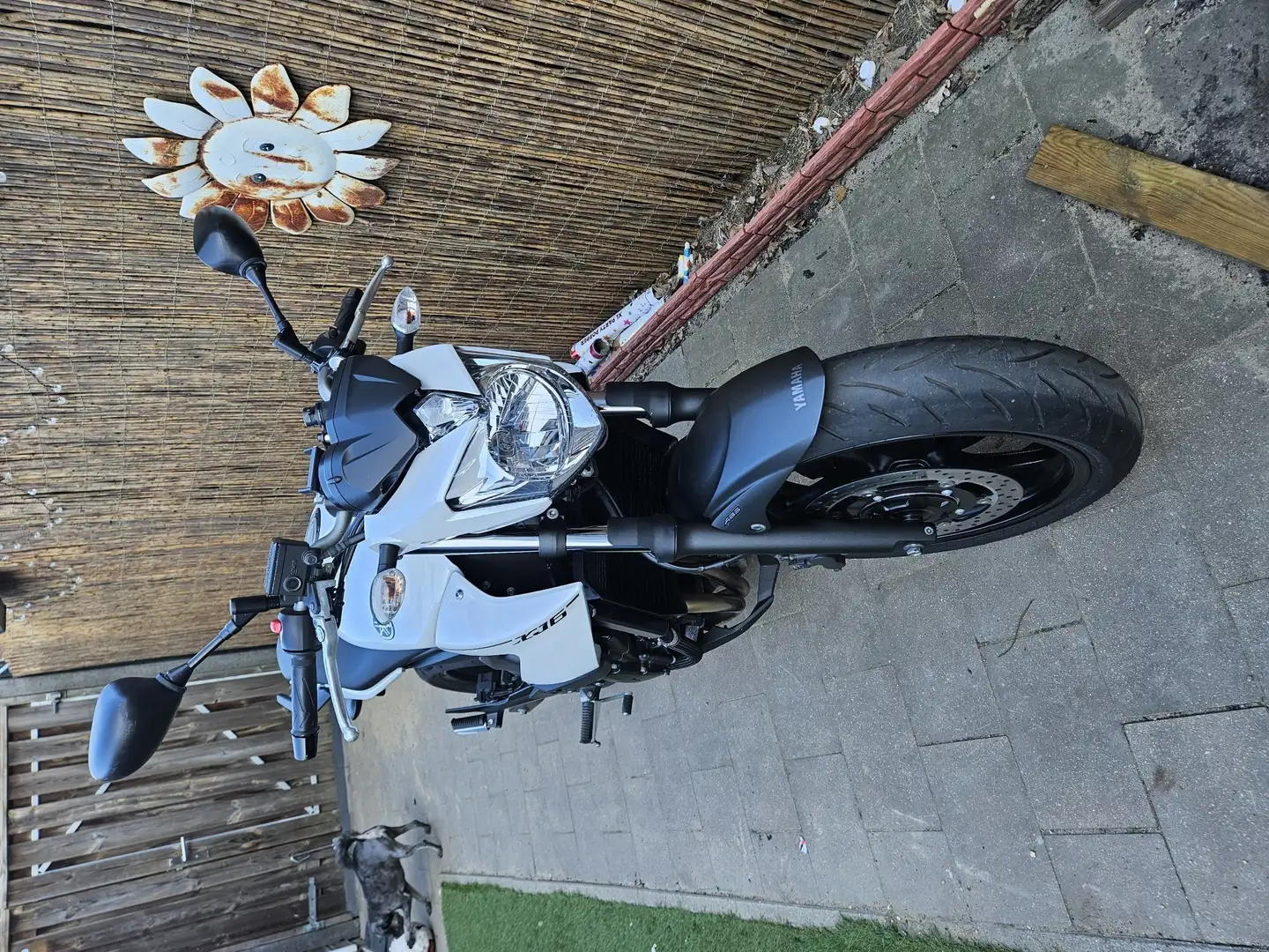 Yamaha XJ 6 Beyaz - 1