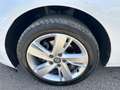 Opel Astra 1.7 CDTI 110 CV EcoF.S&S ST Elect. Blanc - thumbnail 7