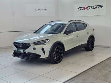 Formentor  VZ5 2.5 TSI 4Drive DSG Taiga Grey